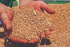 На 22 юли в Истанбул бяха подписани многостранни споразумения