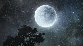 "Но ако се наводнява 10 или 15 пъти месечно, бизнесът не може да продължи да работи, когато паркингът му е под вода. Хората губят работата си, защото не могат да стигнат до нея. Течащите помийни ями се превръщат в проблем за общественото здраве", казва Томпсън.
 