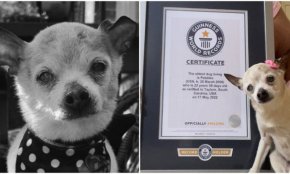 малки новини