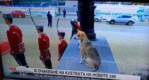 За първи път в най-новата българска история новоизбраният парламент остана без председател след откриването си