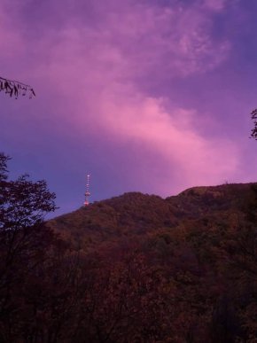 Фото на деня