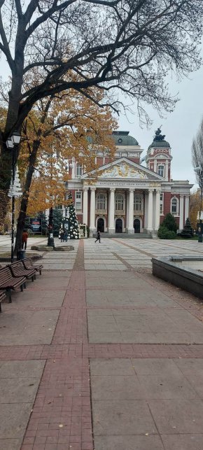 Фото на деня