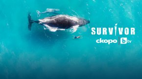 С този подход на телевизионно производство Survivor 7 ще докаже по нов начин, че признанието и титлата „Последният оцелял“ е само за онзи, който притежава комплексни качества като устойчива психика, физическа сила, находчивост, стратегическо мислене и жажда за победа