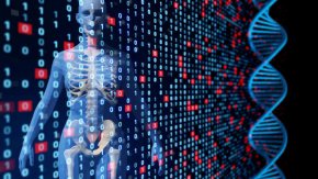 бързи факти