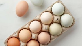 
И допълни, че птичият грип нанася много щети в Европа, като проблемът е заради решението да не се създава ваксина срещу заболяването. 