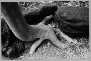 25 февруари от 14:00 ч. - тур в изложбата с Вера Млечевска и Станка Цонкова–Уша
18 март от 14:00 ч. - тур в изложбата със Станка Цонкова–Уша