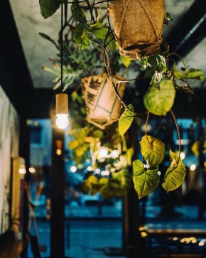 За белезникавите палачинки (защо множествено число, когато е 1), които нямат нищо общо с домашни,  както и сладкото за тях, и разводнената сметана, дори не си струва да отваряме дума, защото може да станем твърде директни. Но и т.нар. козуначени филии, също твърде скъпи, не печелят нито с вид, нито с количество, ако трябва да бъде максимално мили и щадящи.  
