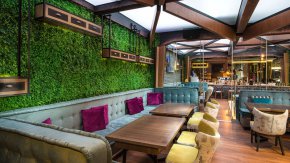 
На съвсем малко места в София човек може да опита мача – най-добрия чай в света, който е японски, а на още по-малко при сервирането да му я направят със специална четка, както става в Maison’s