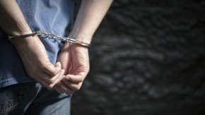 
Операцията е осъществена от служители на полицейския участък в Павел баня, съвместно със служители на Зонално жандармерийско управление – Кърджали и Държавно ловно стопанство „Мазалат“.