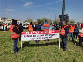 Недоволните земеделци в Русе запалиха и празен пчелен кошер.
