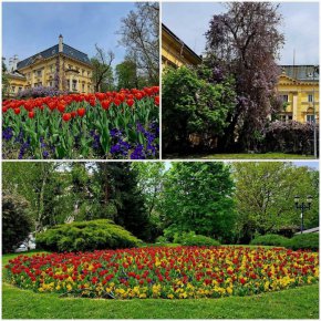 
Снимки: Виктория Ниновска
