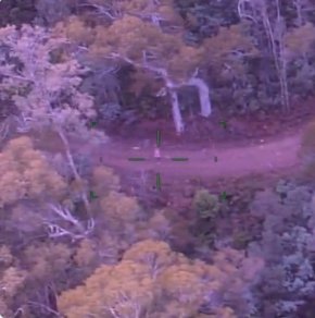 48-годишната австралийка Лилиан Ип оцелява пет дни в австралийския храсталак, като яде бонбони и пие една бутилка вино, разказва тя пред медиите