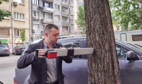 За съжаление спецификите им са такива, че около тридесетата година започват да загниват отвътре и всяка зима има сигнали за паднали клони, които създават предпоставки за инциденти. 