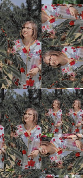 

Мадона на Майстора? Не, отбор Черешка