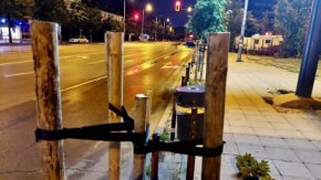  Отрязаха две млади дръвчета