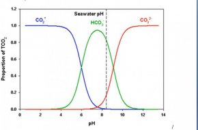 Относителен дял