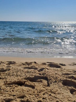 Министерството на здравеопазването не приема за коректни данните от изследване по съвместна инициатива между група „Микробиологични рискове в околната среда, проект SUMMIT“ на Софийския университет „Св. Климент Охридски“ и Асоциация „Активни потребители“.