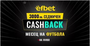 
Вероятно всеки фен на спорта е срещал термина "щастлив губещ". Обикновено се среща в тениса, когато играч, загубил в квалификациите, получава място в основната схема, въпреки че е загубил мача си