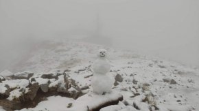 Снимка: Rosen Dimitrov

 