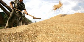 Напомняме, че ППДБ ще предложи отпадане на забраната за внос на зърно от Украйна. Съответното  проекторешение вече е внесено в НС и е  подписано от лидерите на Доброто Кирил Петков и Атанас Анатасов, както и от Делян Пеевски и Хамид Хамид от ДПС. Документът е разписан и от шефа на СДС Румен Христов и депутата от ГЕРБ Александър Николов.


