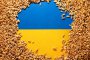 Украинско зърно