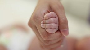 
По изчисления на народни представители, обвързването на обезщетението за втората година майчинство с минималната работна заплата би струвало на бюджета на НОИ по 50 млн. лв. допълнително на годишна база.