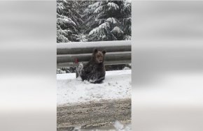 Вижте мечета на пътя за Пампорово 