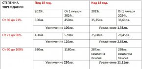 СТЕПЕН НА УВРЕЖДАНИЯ