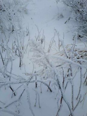 
В планините облачността ще е значителна със слаби валежи от сняг, под около 1800 метра от дъжд и сняг. Ще духа умерен и силен вятър със западна компонента. Максималната температура на височина 1200 метра ще е около 3°, на 2000 метра около минус 3°.
