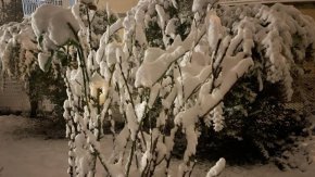 На абонатите, които останаха без ток по време на снеговалежите на 25 и 26 ноември, а на места и в повече дни, не се дължат компенсации от енергоразпределителните дружества, стана ясно от думите на енергийния министър Румен Радев по време на изслушването в Народното събрание. Причината е, че прекъсването на тока не е по вина на дружествата, а заради повреди в мрежата по независещи от дружествата причини