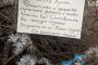 Смях