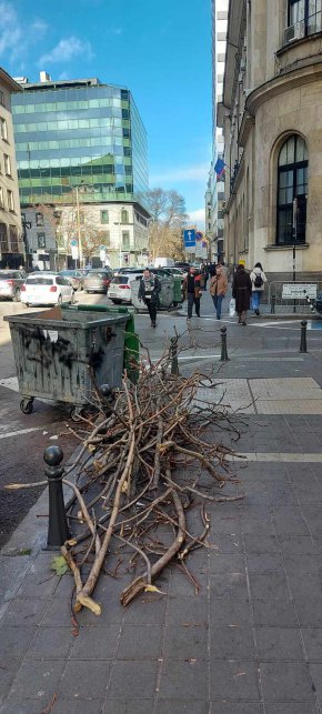 Ъгълът на ул. Дякон Игнатий и ул. Стефан Караджа, до Централната поща, където са помещава Министерството на електронното управление, на метри от жълтите павета и буквално в сърцето на София, поредна седмица няма кой да прибере струпани още от падането на 10 см сняг миналия месец