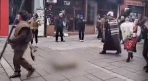 препарирана лисица на площада в Разлог