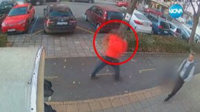Пореден случай на жестокост към животно