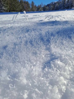 За повишаване безопасността на движение е възможно в събота да се затварят отделни участъци за почистване, предупреждават още от пътната агенция.