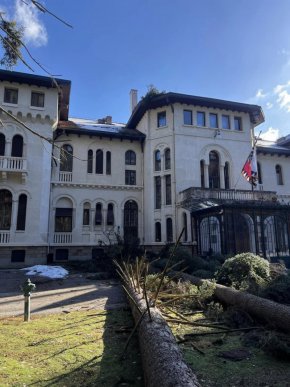 Ръководството на ОП “Паркове и градски градини” и Зелени системи са тотално неадекватни по отношение на опазване на безценния дворцов парк!", допълва Ивайло Шалафов.