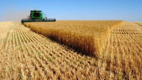 Зърнопроизводителите