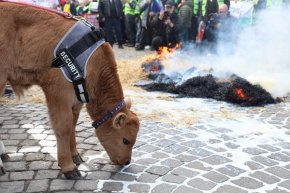 Земеделски асоциации, които не бяха на разговорите вчера, протестираха пред земеделското министерство, с искане за оставка на министър Кирил Вътев.