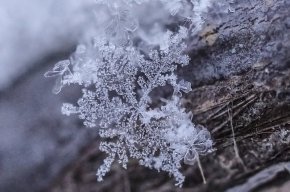  Сибир: 30-сантиметрови снежинки и най-голямото блато в света