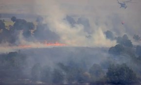 
Животновъдите, които пострадаха при пожари в Хасковска област, ще получат помощ от държавата до края на седмицата. Това съобщи земеделският министър д-р Георги Тахов в Харманли, където се запозна на място  с пораженията от пожарите през последната седмица