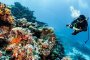Големият бариерен риф може да изчезне през следващите 30 години