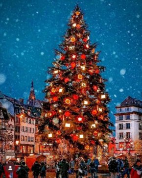
Страсбургска Коледа: Фото на деня
