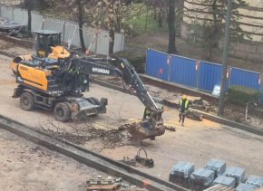   Кметът сече, въпреки съда: Еколог №1