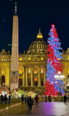 

Голямото коледно дърво на площад Свети Петър във Ватикана