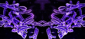 Светът е изправен пред нова заплаха - огледални форми на живот: Нобелисти