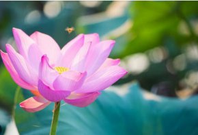 Колкото повече остарява човек, толкова по-добър вкус трябва да прояви, за да оцени живота...