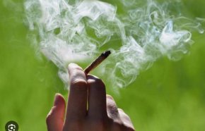 Ако на 30 години все още пушите трева, учените имат лоши новини за вас