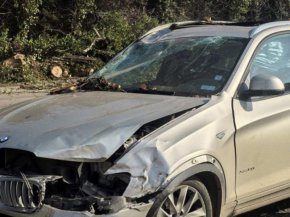 Дърво падна върху кола на Цариградско шосе в София, жена е с комоцио