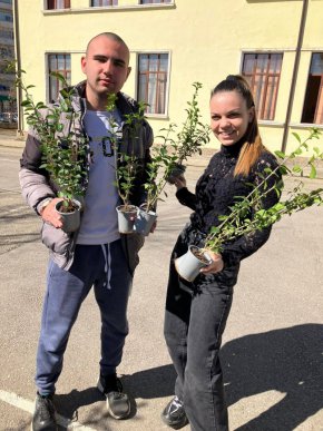 Перник стана финалният град на Природа? SOS!