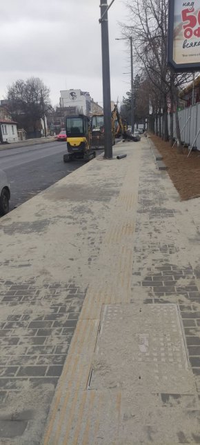  Защо ще изсъхнат до 2 г. 6-те нови дървета, които кметът сади на изсечените 38 на Опълченска: Тома Белев